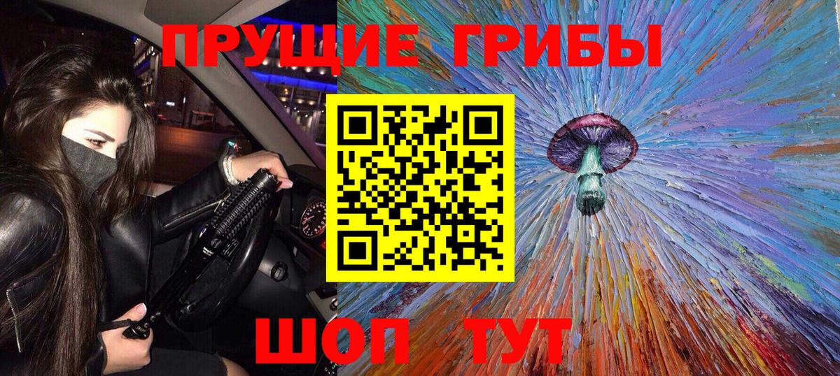 Бугуруслан  Псилоцибиновые грибы Cubensis  Вход с VPN 